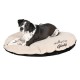 Coussin personnalisable pour chien King of Dog