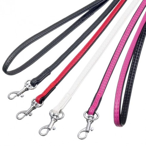 Laisse pour chien "Paris"