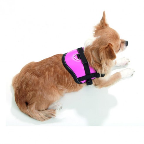 Harnais rose foncé pour petit chien