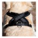 Harnais noir en nylon pour grand chien