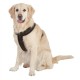 Harnais noir en nylon pour grand chien