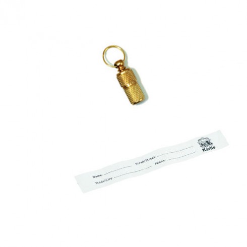 Tube adresse doré à facettes pour chien