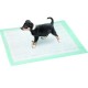 Ptotection hygiénique pour chiot en tapis