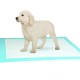 Ptotection hygiénique pour chiot en tapis