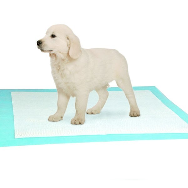 Tapis De Dressage Hygiénique Pour Chien Et Chiot - Absorbant, Anti-fuites, Anti-odeurs - Dessous Antidérapant