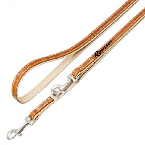 Laisse d'éducation cuir marron