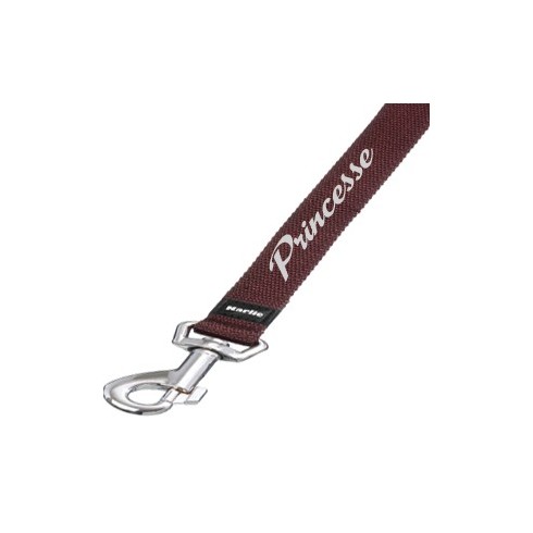 Laisse Art Sportiv Marron