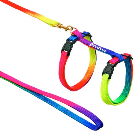 Harnais chat Rainbox personnalisé