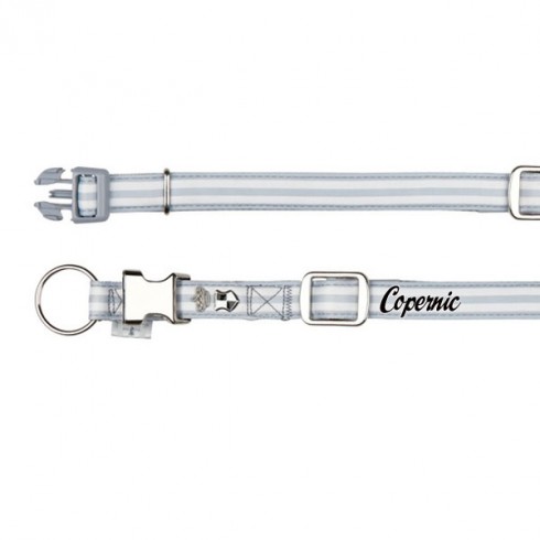 Collier Gris pour chien personnalisé avec son prénom Dog Prince