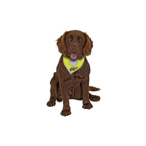 Foulard de sécurité Safety Dog
