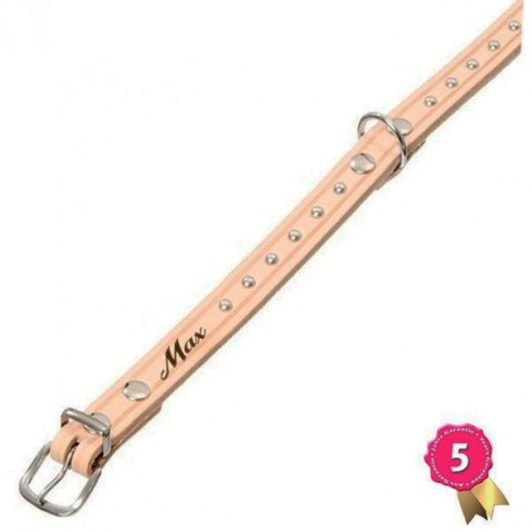 Collier Chien cuir Beige avec rivets personnalisé