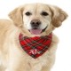 Collier en nylon et foulard Scotland