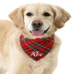 Collier en nylon et foulard Scotland