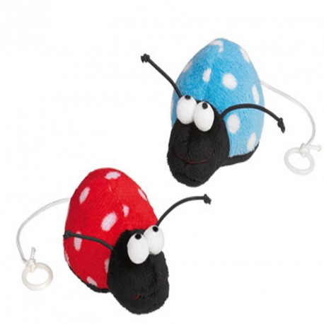 Coccinelle avec herbe à chat pour chat