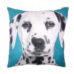 Coussin Dalmatien
