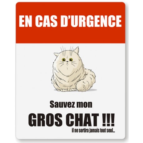 Stickers Gros chat