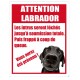 Stickers Attention Labrador