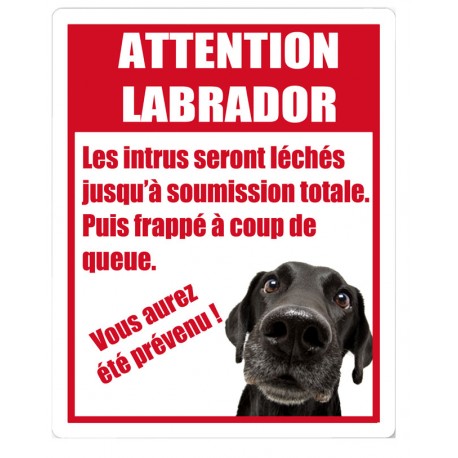 Stickers Attention Labrador