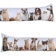Boudin de porte chien et chat