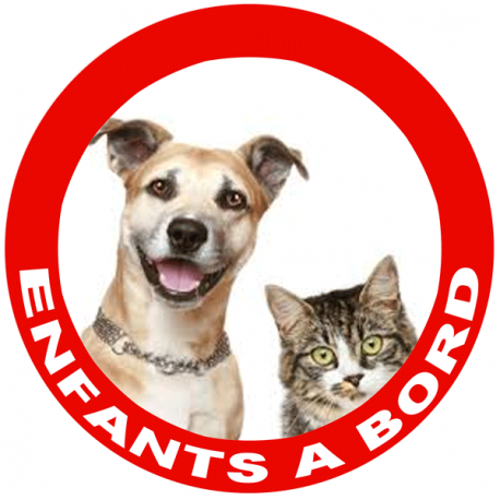Stickers enfants à bord personnalisé