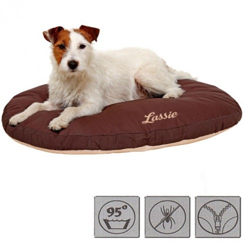 Coussin Doc Bed