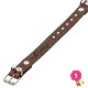 Collier cuir Marron avec rivets