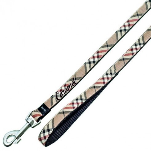 Laisse Art Joy Style Anglais