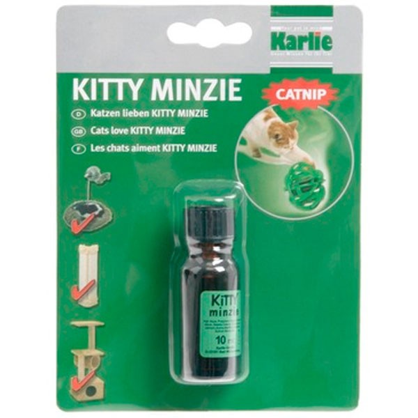 Kitty Minzie Karlie Attire Chat