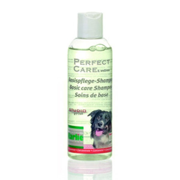 shampooing pour chien basic