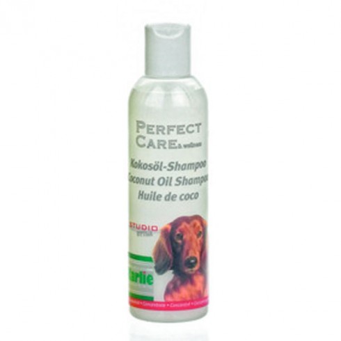 Shampooing pour chien noix de coco