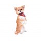Collier en nylon et foulard Scotland