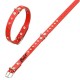 Cuir cuir rouge chien personnalisé avec clous