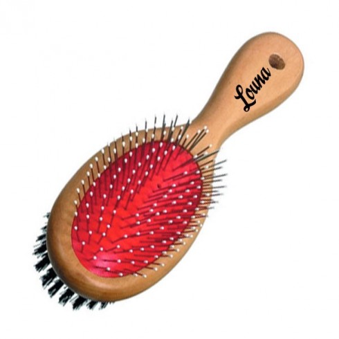 Brosse pour chien personnalisé avec son prénom
