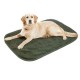 Couverture de voyage pour chien personnalisée