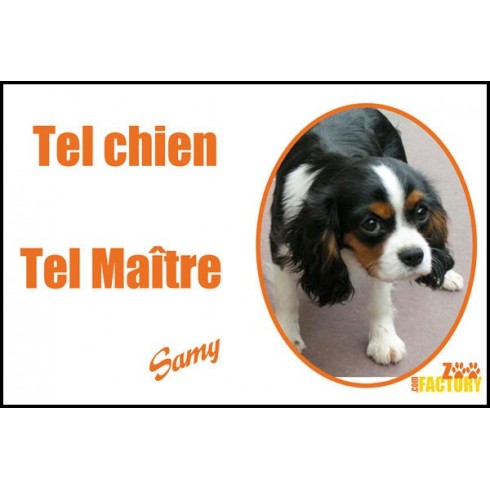 Plaque de rue personnalisée tel chien tel maitre