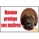 Plaque de rue personnalisée chien Je protège mes maîtres
