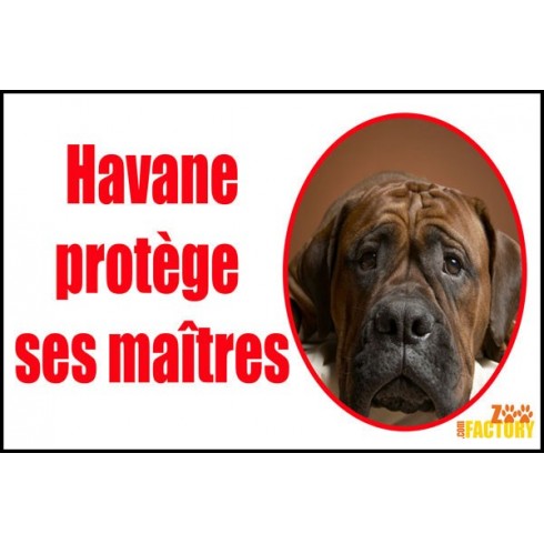 Plaque de rue personnalisée chien Je protège mes maîtres