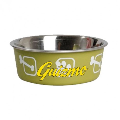 Gamelle verte fun pour chien personnalisée avec le prenom