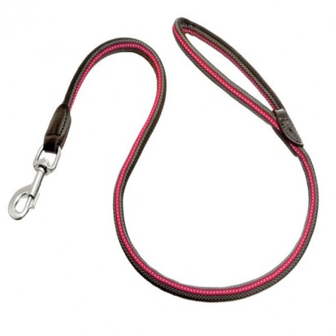 Laisse pour chien Professional plus réfléchissante