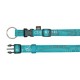 Collier bleu pour chien Paris
