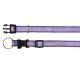Collier de chien Lilas à fleurs