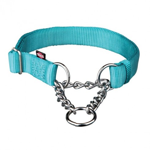 Collier semi étrangleur pour chien Turquoise