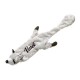 Ragondin malin pour chien calin
